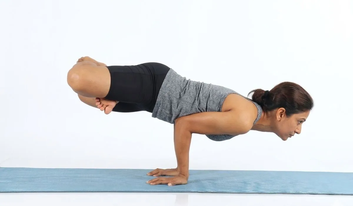 we will learn about Padma Mayurasana pose in this article